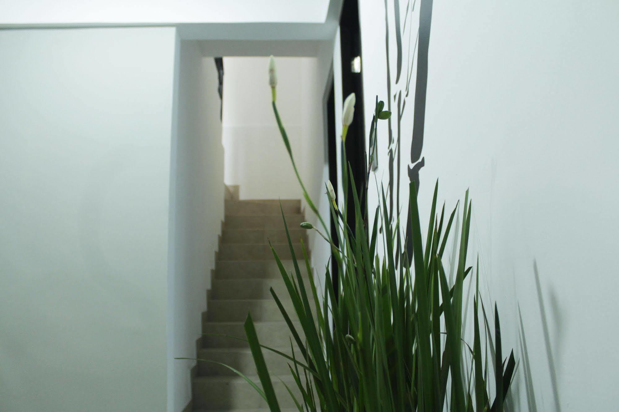 Hostal Be Condesa Мехико Экстерьер фото